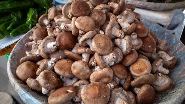 tabakta yığılı şitaki mantarları