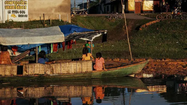  అమెజాన్ అడవులు, పర్యావరణం, కార్బన్ డై ఆక్సైడ్, వాతావరణం
