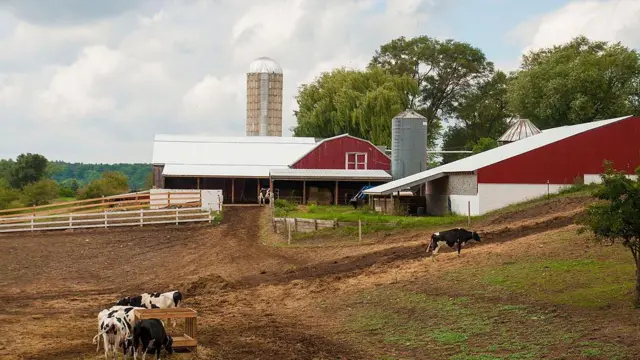 पोल्ट्री फ़ार्म