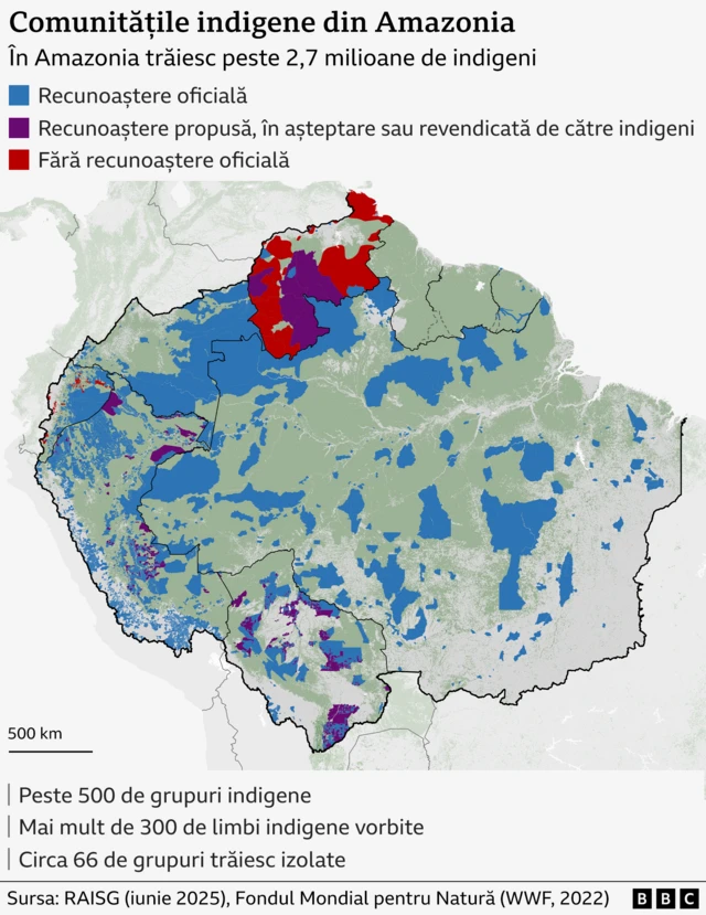 Infograficul arată o hartă a teritoriilor locuite de comunități indigene în Amazonia și include informații despre aceste comunități.