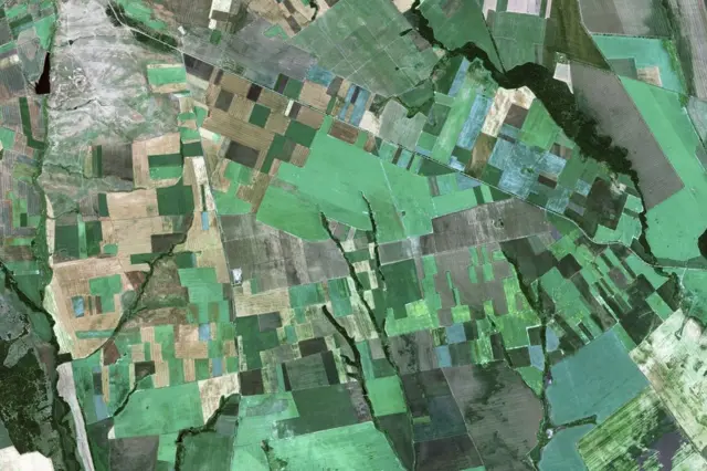Sebuah citra dari satelit.