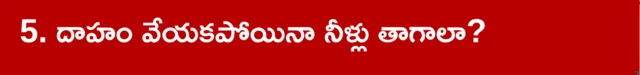 ఆంధ్రప్రదేశ్, వేసవికాలం, వడదెబ్బ