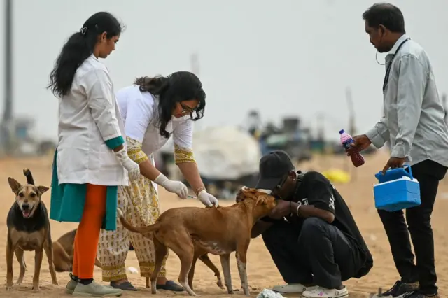 கோவையில் நாய் கடித்து ஒரே வாரத்தில் இருவர் உயிரிழப்பு