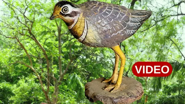 కలివి కోడి