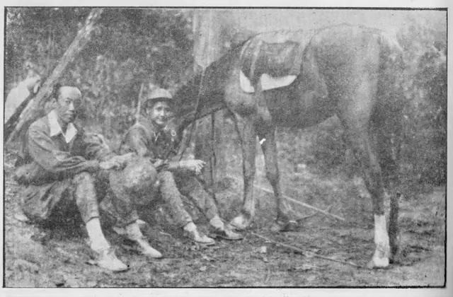 ဂျပန်အ၀င် ဒေါနတောင်ကြောက သခင်မြနဲ့ ကိုလှမောင်