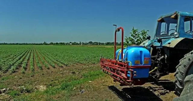 Дыйкандарга жеңилдетилген насыя берүү 2011-жылдан башталат