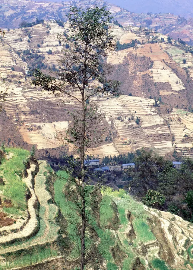 वातावरण