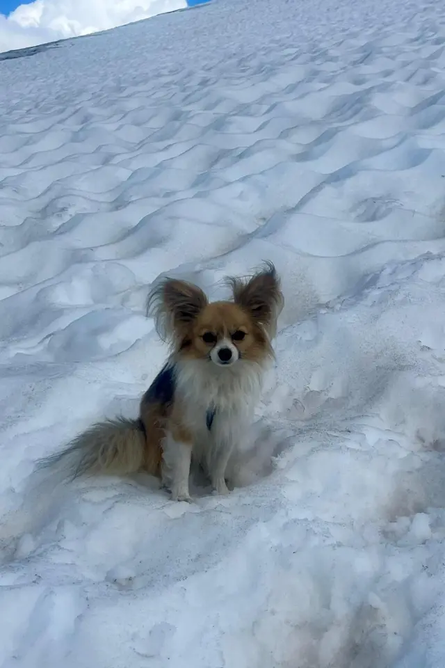 Filip no meio da neve, esperando os socorristas