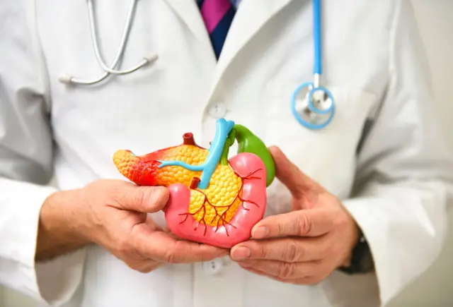 Pancreatic Cancer स्वादुपिंड, इन्शुलिन, कर्करोग, Insulin