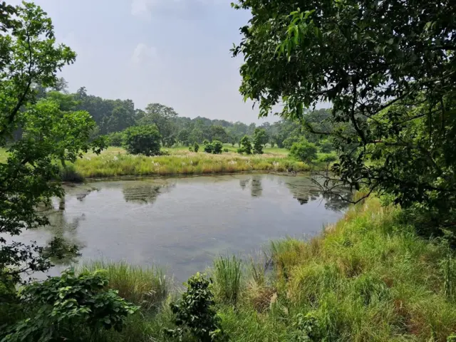 शुक्लाफाँटा राष्ट्रिय निकुञ्जभित्र रहेको एउटा ताल