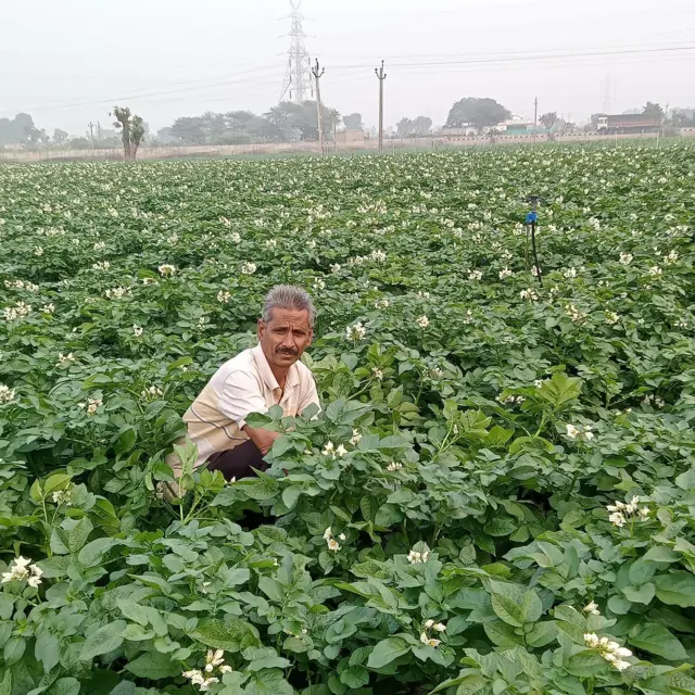 ડીસા નજીક આવેલા લોરવાળા ગામના ખેડૂત ઈશ્વરદાન ગઢવી પણ છેલ્લાં 30 વર્ષથી બટાટાની ખેતી કરે છે