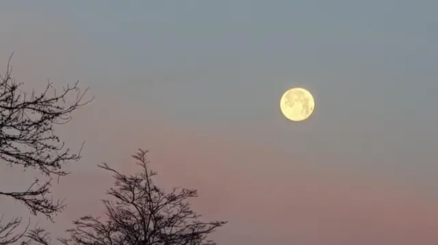 La luna adquiere un tono amarillo mientras se encuentra sobre un fondo de cielo violeta y rosa.