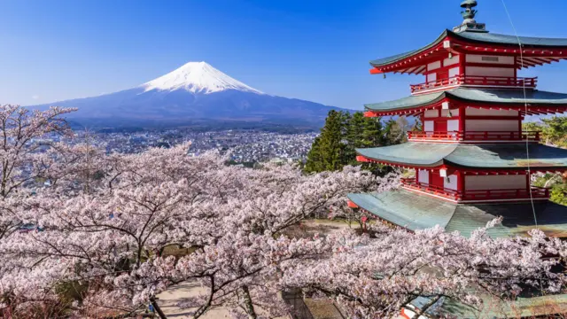 Pagode cercado de cerejeiras em flor, com o monte Fuji ao fundo, em Fujiyoshida, no Japão