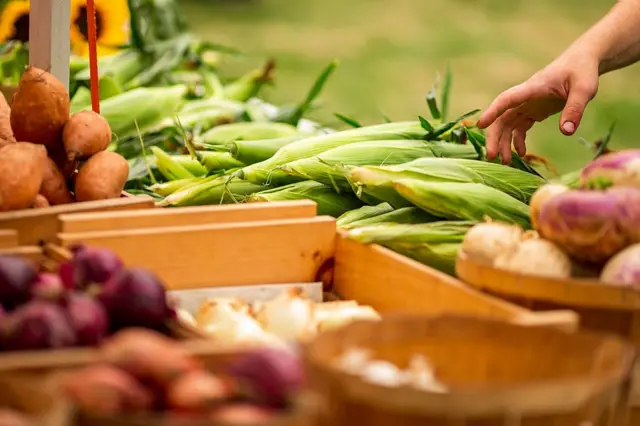 Warga berbelanja produk segar di Brighton Farmers Market, Boston, Massachusetts, pada 15 Juli 2026.