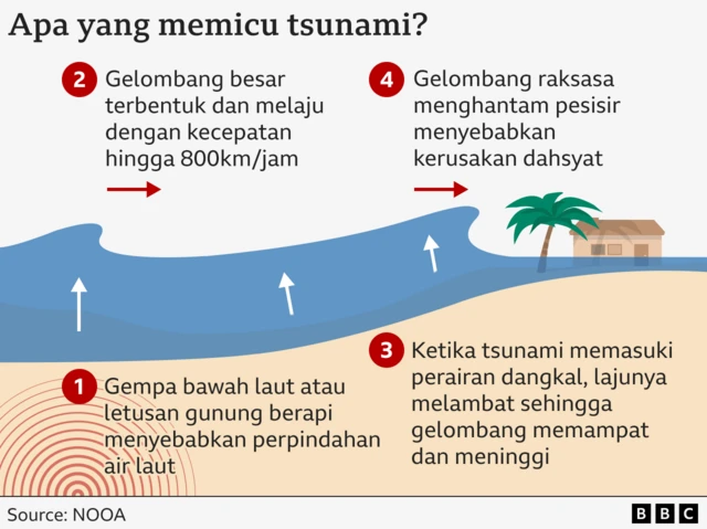 Apa yang memicu tsunami 