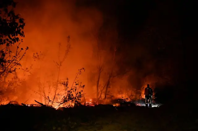 Incêndio florestal