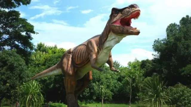 प्रातिनिधिक फोटो