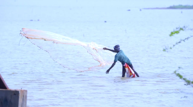 పులికాట్ సరస్సు