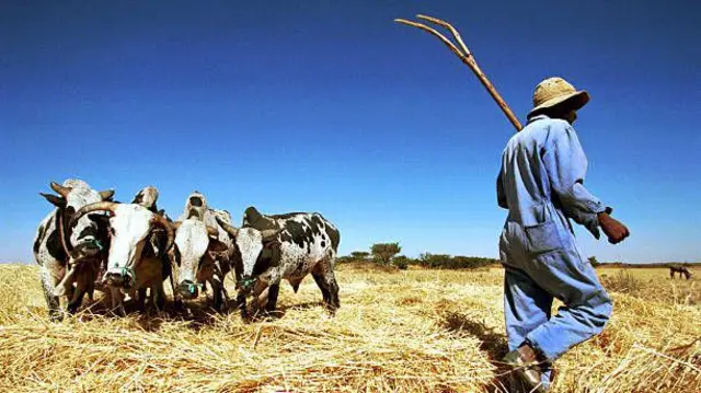 መኼዳ ኣብዑር፡ ኣብ 1999