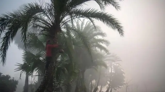 বাংলাদেশের শীতলতম মাস জানুয়ারি।