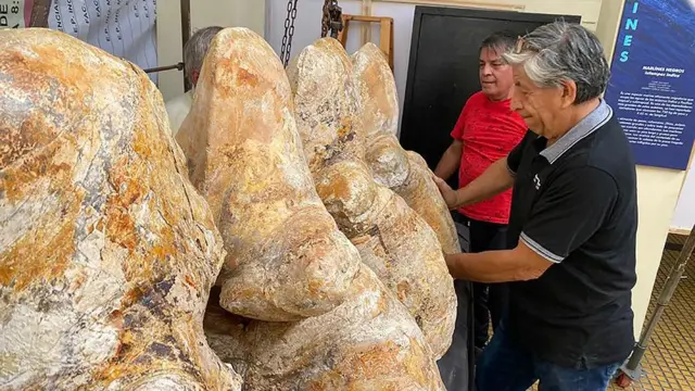  العظام التي عثر عليها