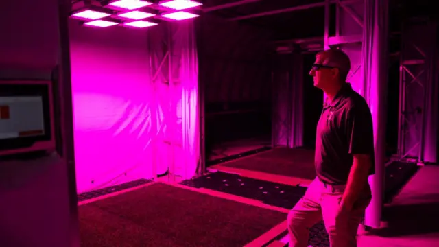 LED ışıklarla büyütülen çimleri gözlemleyen John Sorochan.