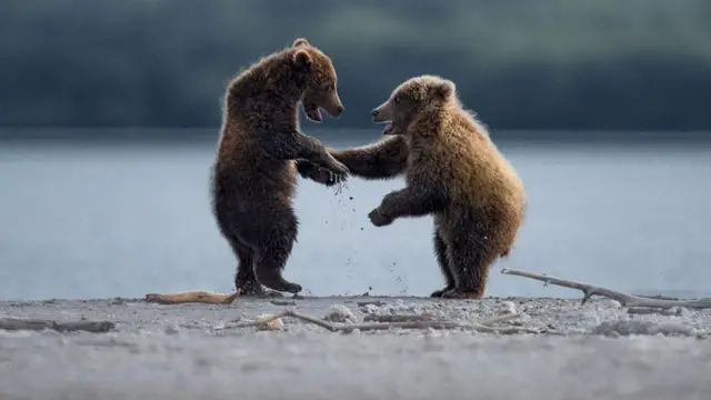 థామస్ విజయన్, కట్మాయ్ నేషనల్ పార్క్, అలస్కా, అమెరికా