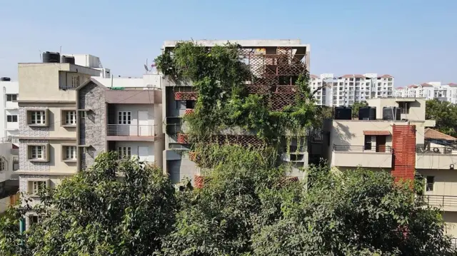 Três prédios médios, um ao lado do outro. No prédio do meio, diversas plantas saem nos vãos de treliças feitas de barro para proteger do sol