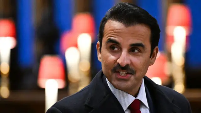 ਤਮੀਮ ਬਿਨ ਹਮਦ ਅਲ ਥਾਨੀ,