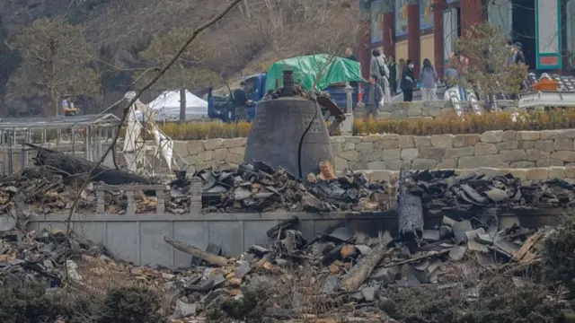 दक्षिण कोरियात वणव्याचा हाहाकार