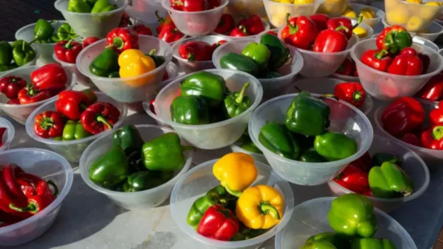 Ata dudu ati ata ti pọn ninu abọ rọba to pọ