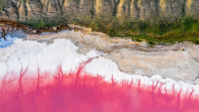 Western Australia get 12,500km of pristine coastline and several bubblegum-pink lakes