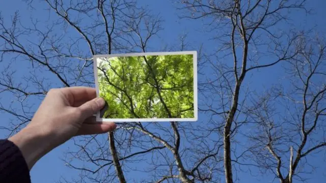 सकारात्मक विचार कसे करायचे