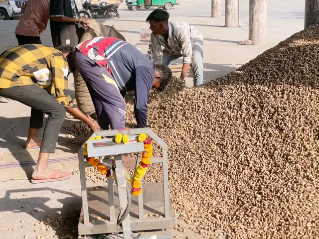 રાજકોટ ખેતીવાડી ઉત્પન્ન બજાર સમિતિના જુના યાર્ડ ખાતે લોધીકા તાલુકાના મગફળી કેન્દ્ર પર સોમવારે ચાલી રહેલ ખરીદીની પ્રક્રિયા
