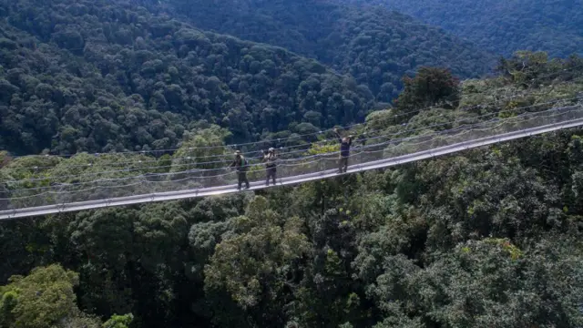 Abantu bari kuri 'canopy walk' muri Nyungwe