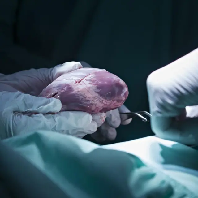 உயிர்காக்கும் மருத்துவம்