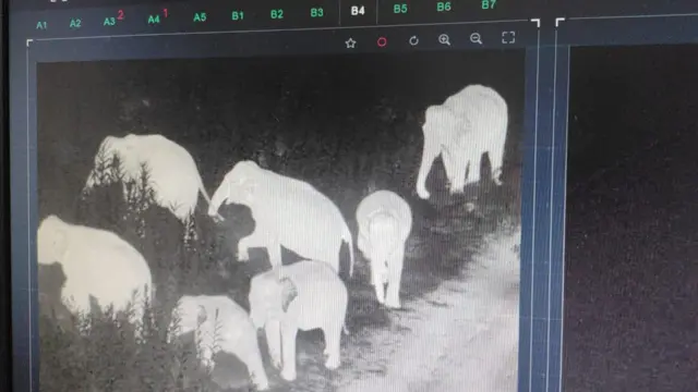 கோவை: யானைகள் ரயில் விபத்தில் சிக்காமல் தடுக்கும் அதிநவீன AI கேமரா - பிபிசி தமிழின் நேரடி விசிட்