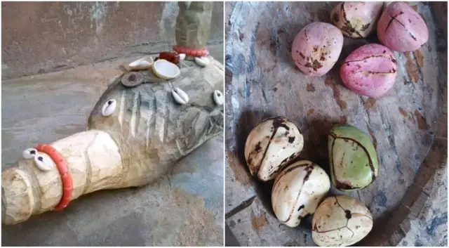 Arụnsị na ọjị