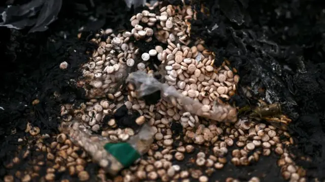 قرص های پیدا شده 