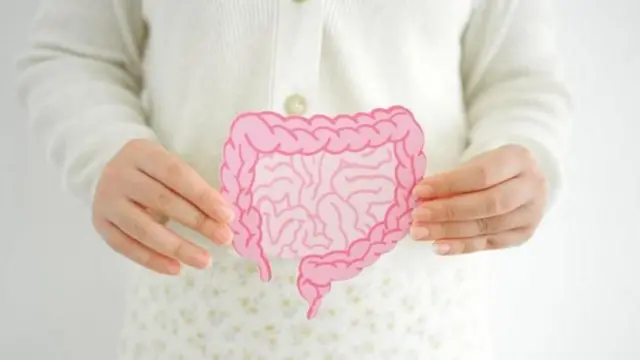 पोटातील आतड्यांचं आरोग्य आपल्या खाण्याच्या सवयी आणि जीवनशैलीवर अवलंबून असतं.