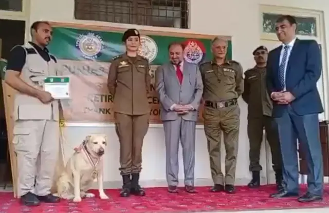 پنجاب پولیس، کتے