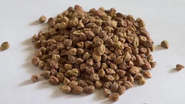 ছোলার পর্যাপ্ত মজুদ থাকায় দাম কমেছে বলে জানাচ্ছেন ব্যবসায়ীরা