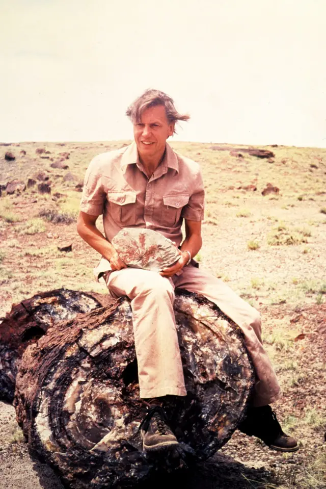Attenborough sentado sobre un tronco en un paisaje árido.