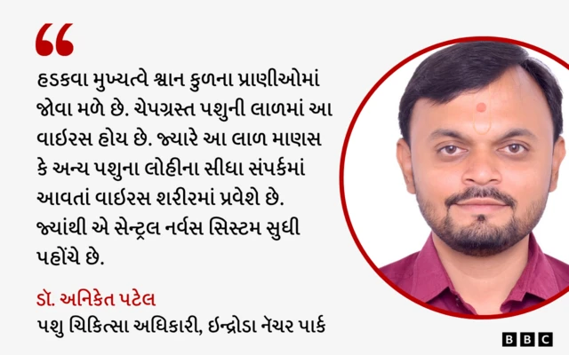 બીબીસી ગુજરાતી, ગુજરાત, બીબીસી, અમદાવાદ, ભરૂચ, ભેંસ, હડકવા, રોગ, હેલ્થ,
