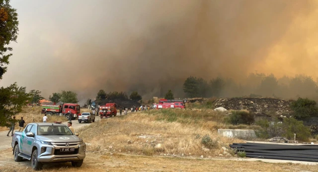 Yangına müdahale eden araçlar alevlere yakın bir noktaya konuşlanmış
