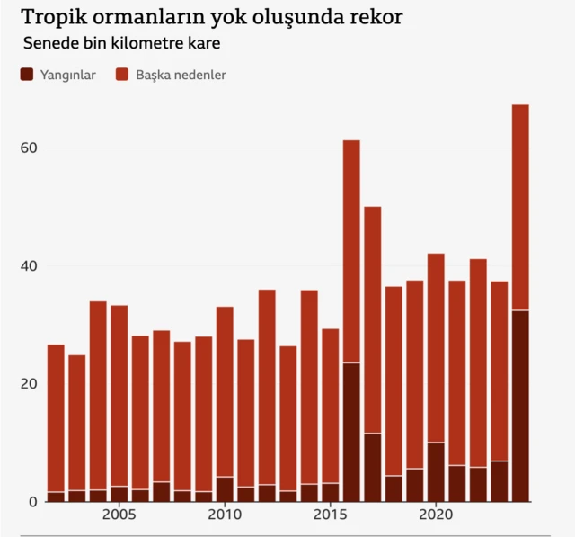 Tropik ormanların yok oluş hızını gösteren grafik