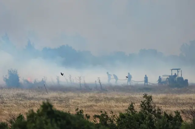 İzmir Seferihisar'da yangınlarla mücadele edenler (1 Temmuz 2025)