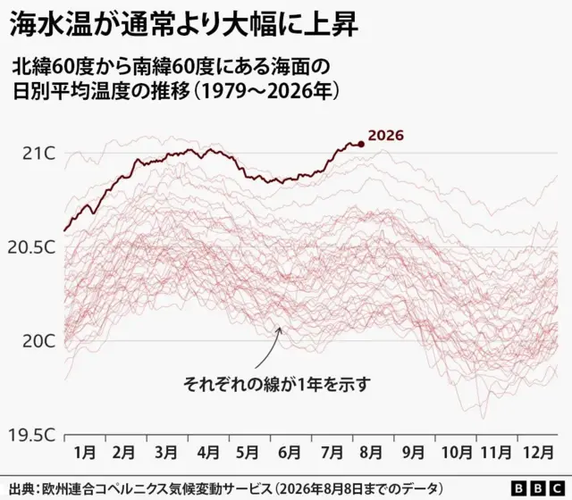 1979年から2020年までの日別平均海面水温を示すグラフ。2026年はほぼ最高水準を記録し続けている