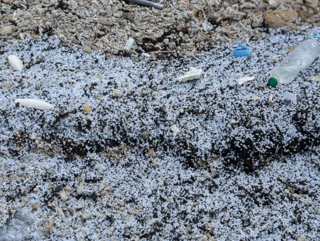 ප්ලාස්ටික් පෙලට්ස් ශ්‍රී ලංකාවේ වෙරළට ගොඩ ගසමින් ඇතැයි, සමුද්‍රීය පරිසර ආරක්ෂණ අධිකාරිය පවසයි.