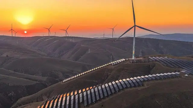 विंड फॉर्म